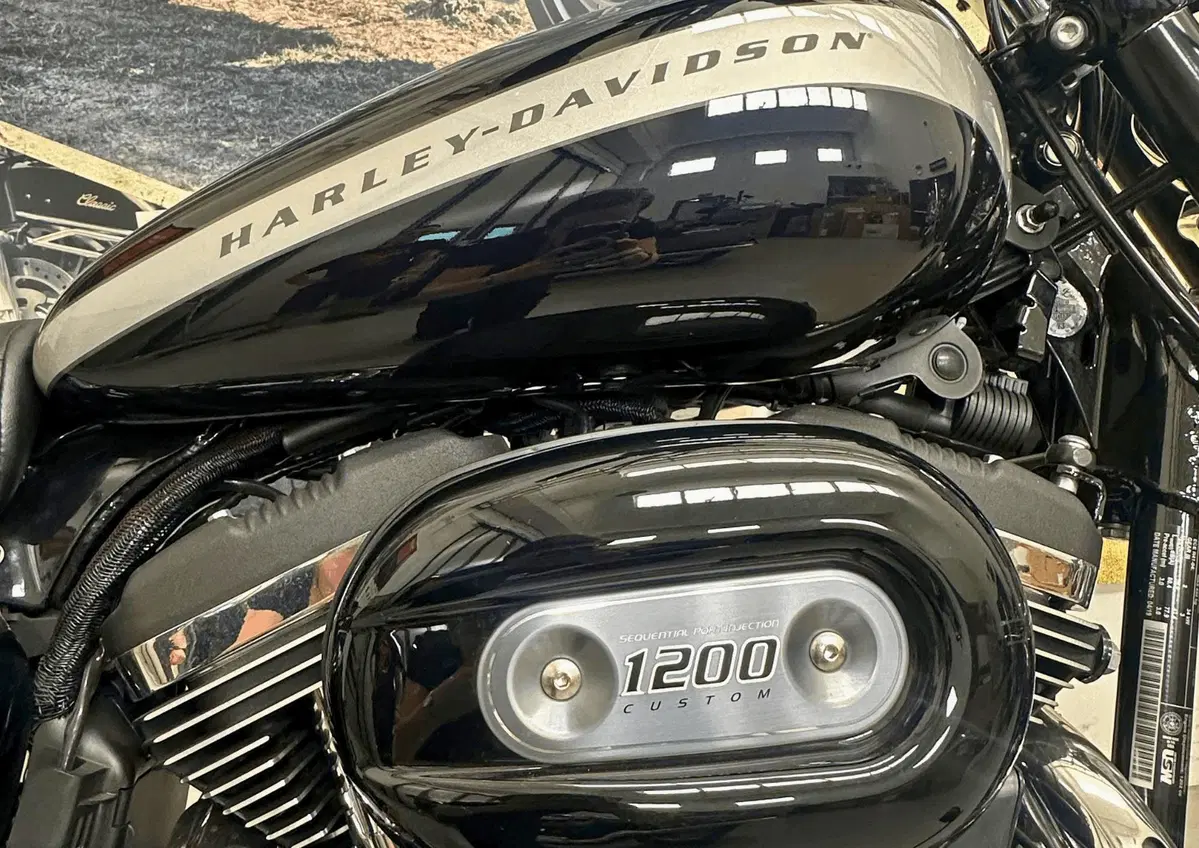 Harley-Davidson 1200 Custom (2018 - 20) - XL1200C (6)