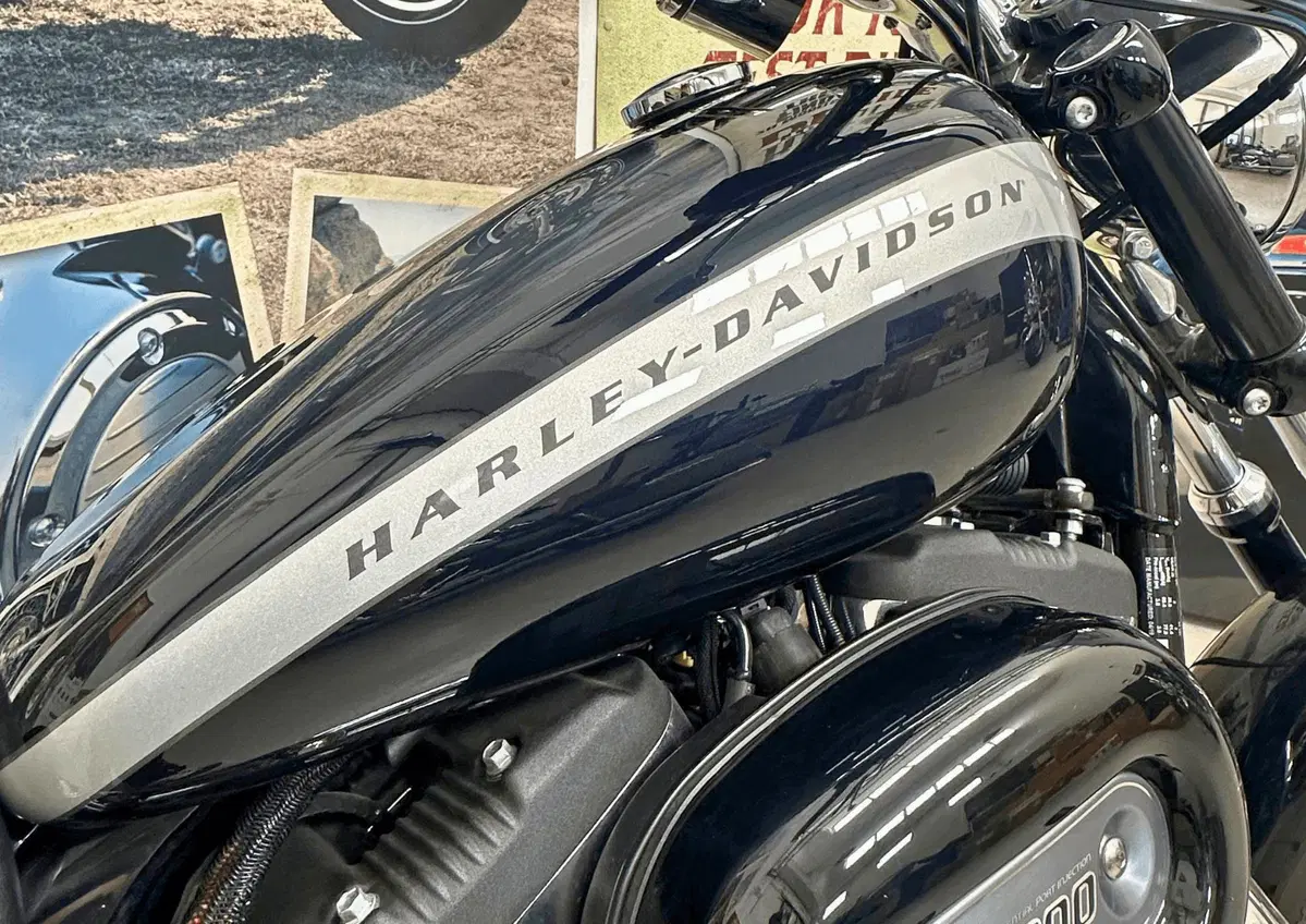 Harley-Davidson 1200 Custom (2018 - 20) - XL1200C (7)