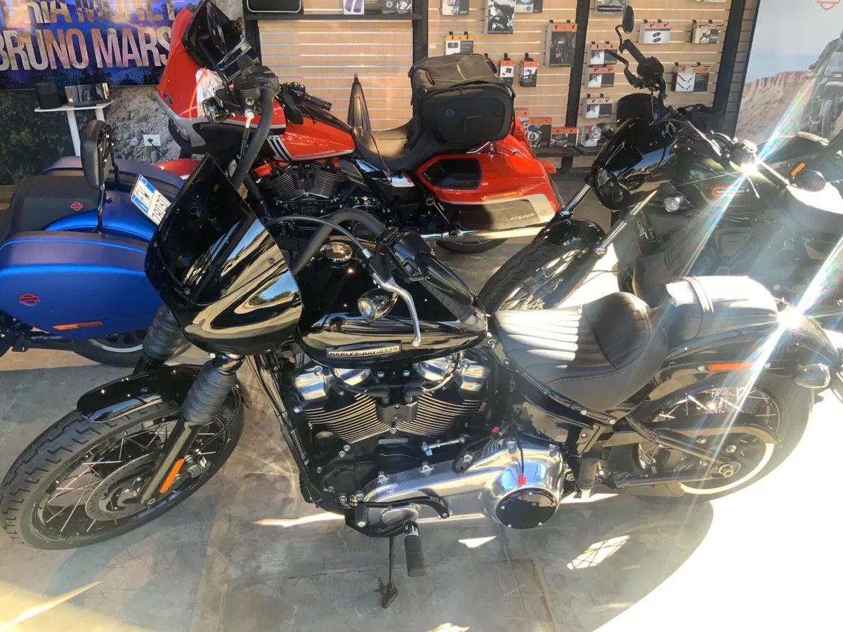 Harley-Davidson Street Bob 117 (2025 - 26)