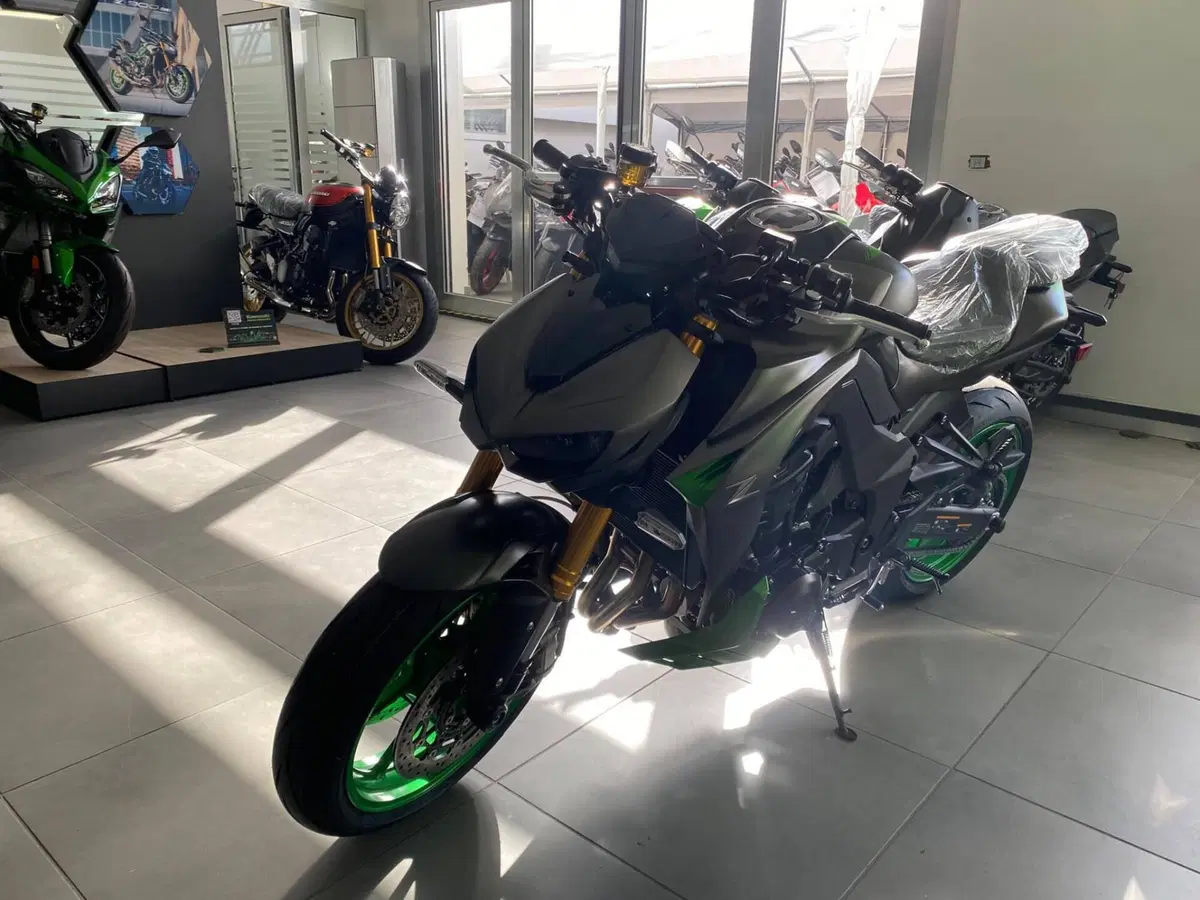 Kawasaki Z 1100 SE (2026 - 27) (4)