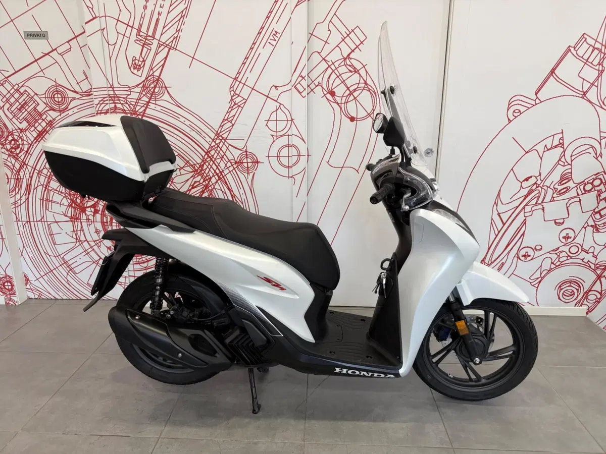 Honda SH 125i (2024 - 25)