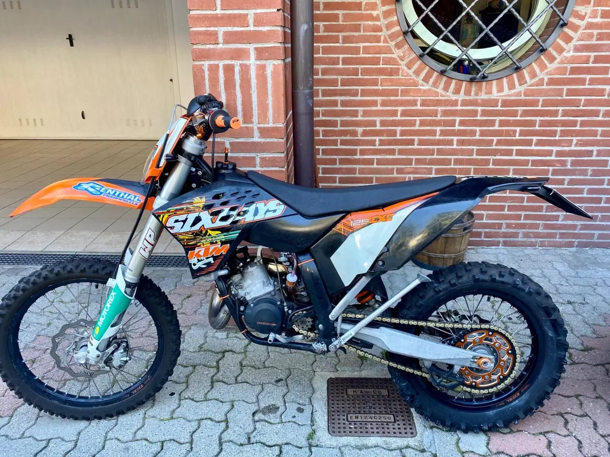 KTM 125 EXC Six Days (2010)