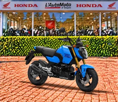 Honda MSX 125 Grom (2021 - 26) nuova