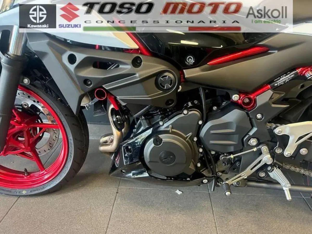 Kawasaki Z 500 SE (2024 - 27) (6)