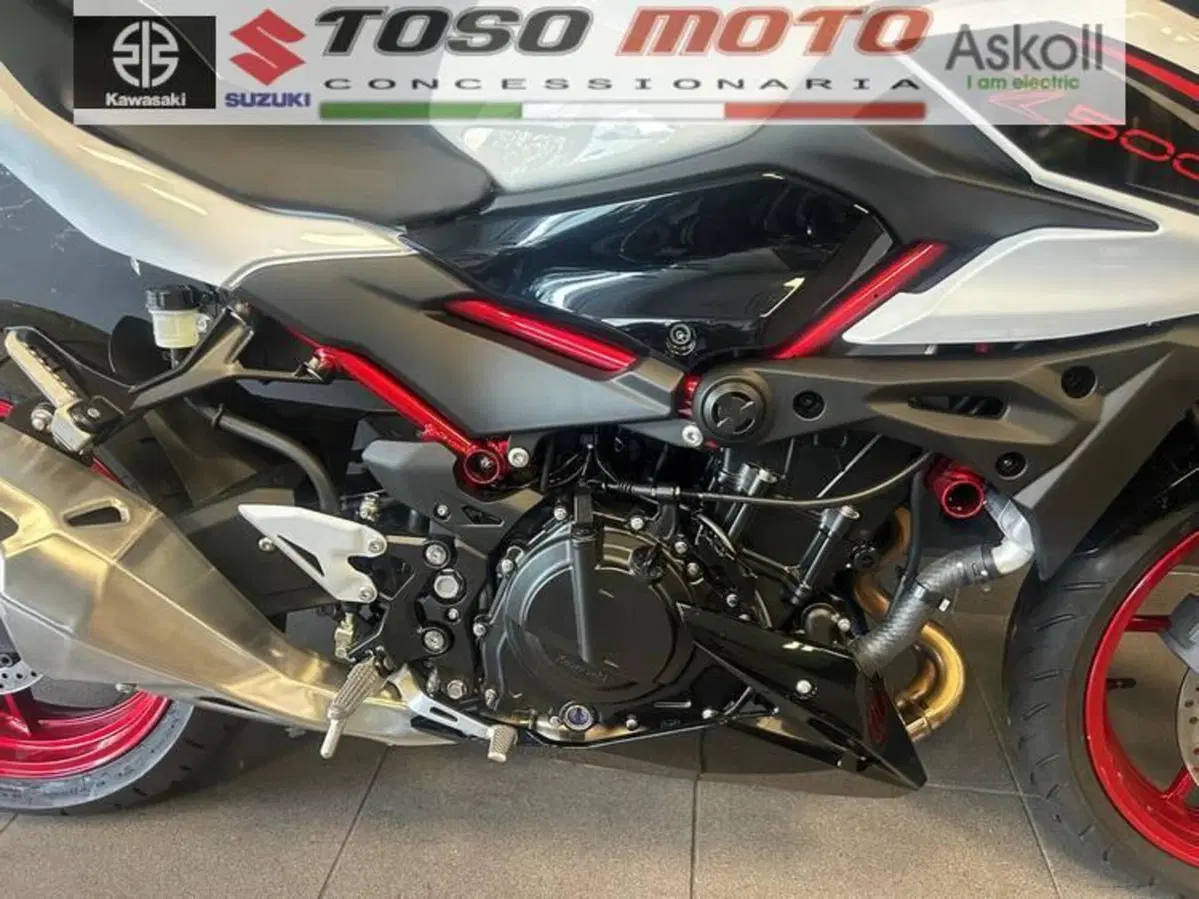 Kawasaki Z 500 SE (2024 - 27) (10)