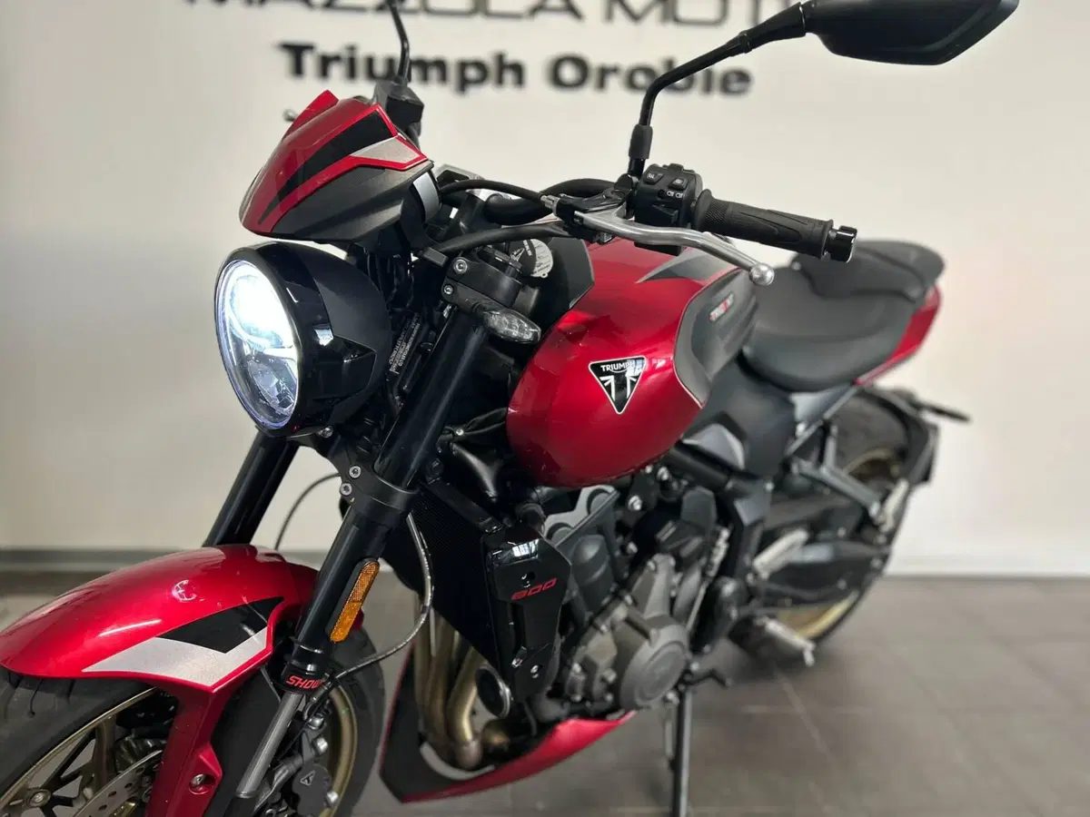 Triumph Trident 800 (2026) (6)