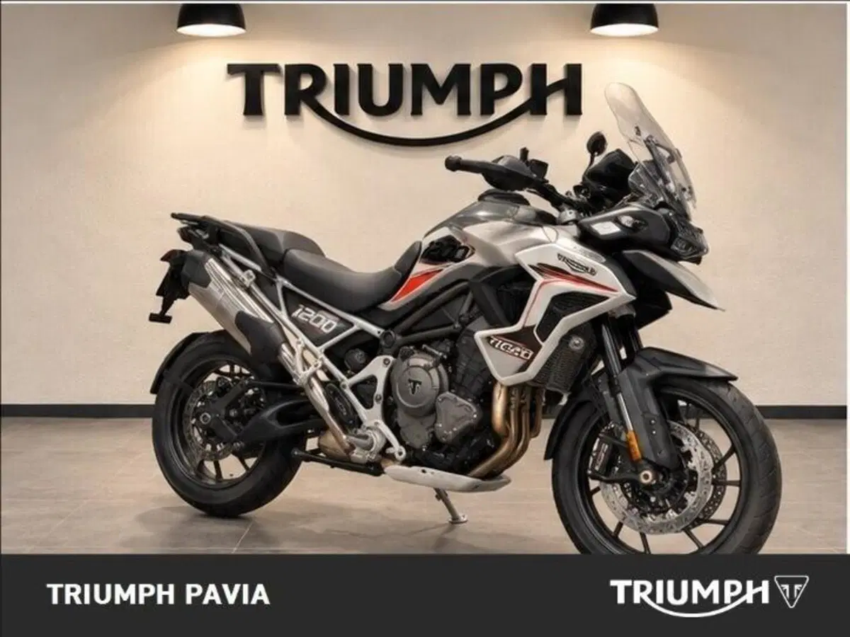 Triumph Tiger 1200 GT Pro (2024 - 26) (4)