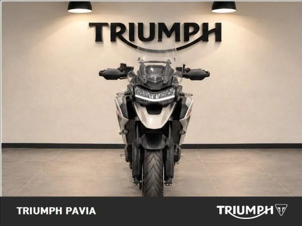 Triumph Tiger 1200 GT Pro (2024 - 26) (5)