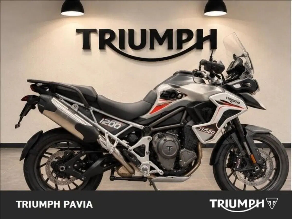 Triumph Tiger 1200 GT Pro (2024 - 26) (2)