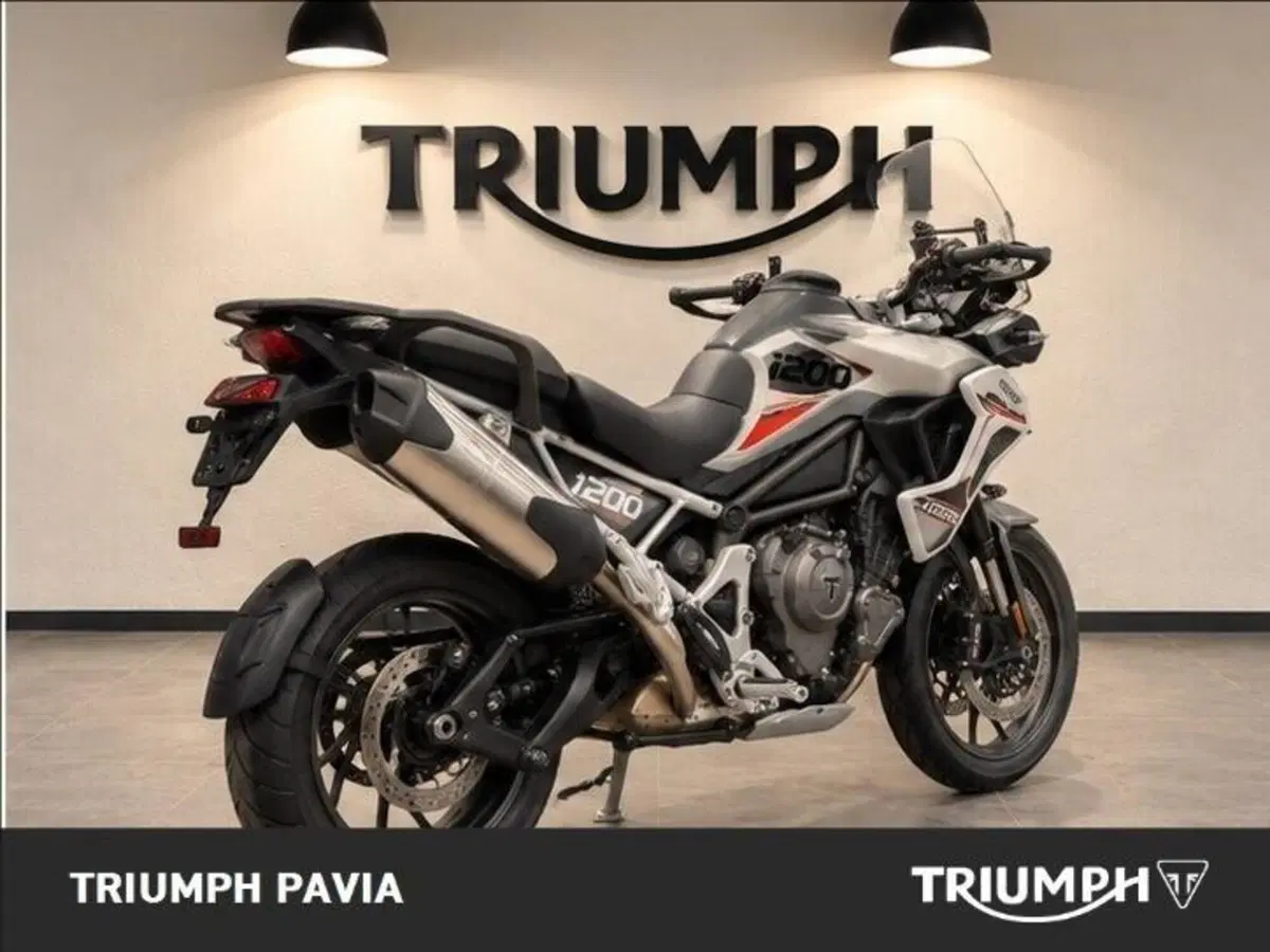 Triumph Tiger 1200 GT Pro (2024 - 26) (3)