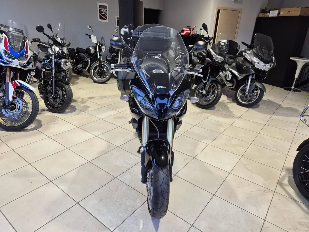 Triumph Tiger 1050 (2006 - 12) (11)