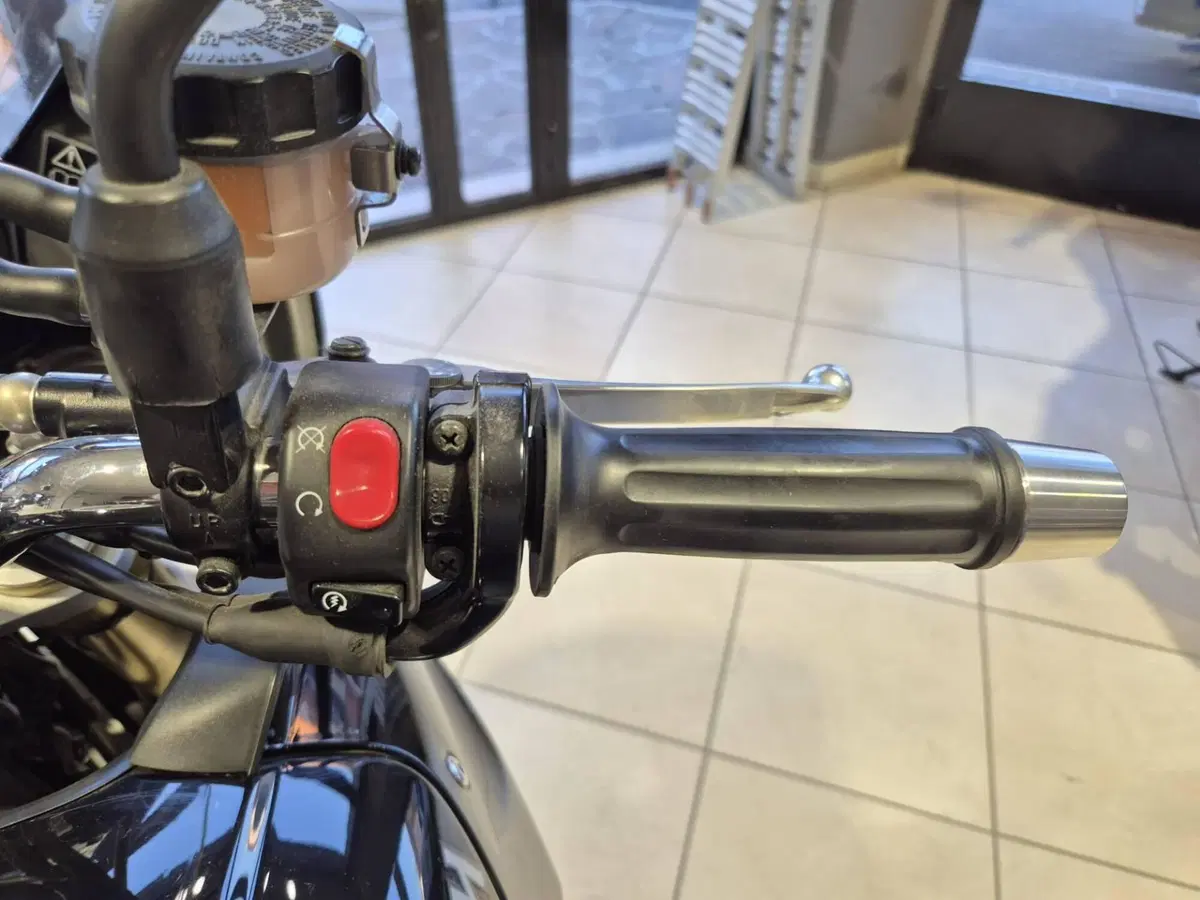 Triumph Tiger 1050 (2006 - 12) (13)