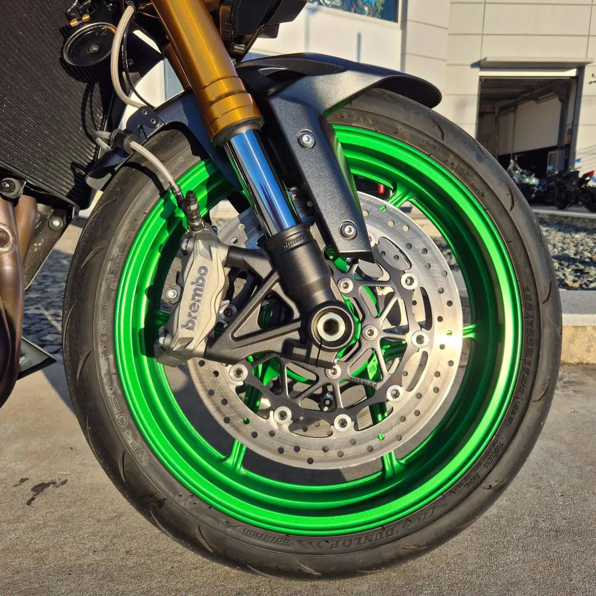 Kawasaki Z 1100 SE (2026 - 27) (7)