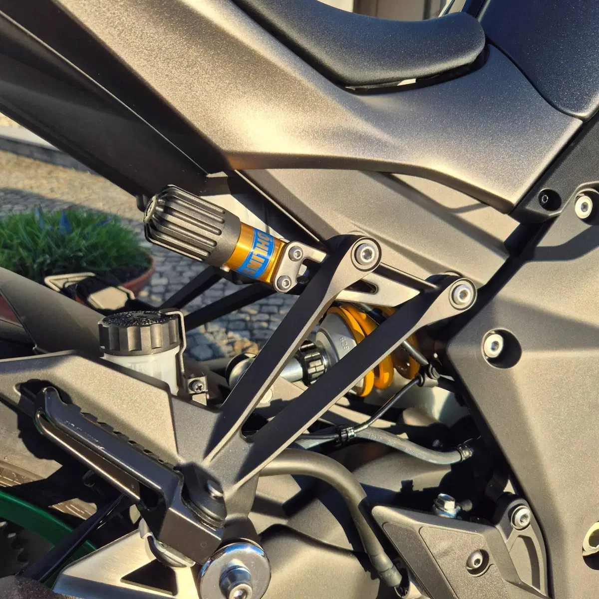 Kawasaki Z 1100 SE (2026 - 27) (8)