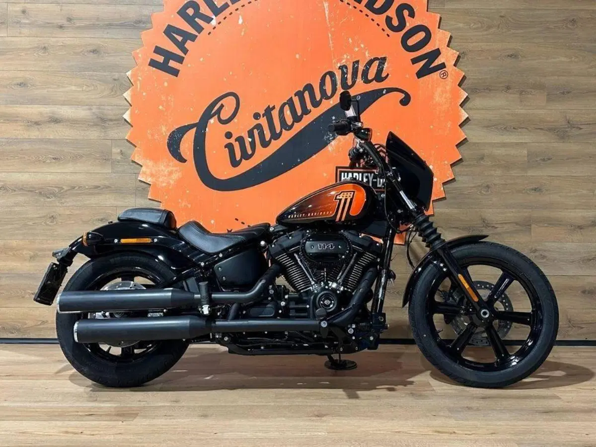 Harley-Davidson 107 Street Bob (2018 - 20) - FXBB (2)