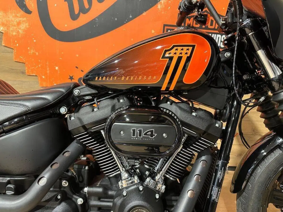 Harley-Davidson 107 Street Bob (2018 - 20) - FXBB (5)