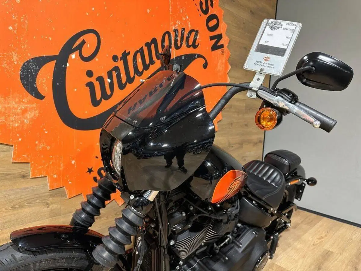 Harley-Davidson 107 Street Bob (2018 - 20) - FXBB (10)