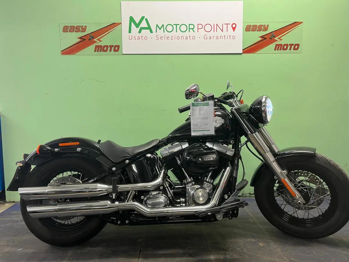 Harley-Davidson 1690 Slim (2017) - FLS