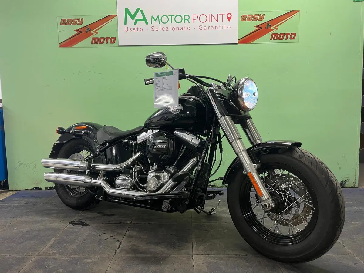 Harley-Davidson 1690 Slim (2017) - FLS (2)