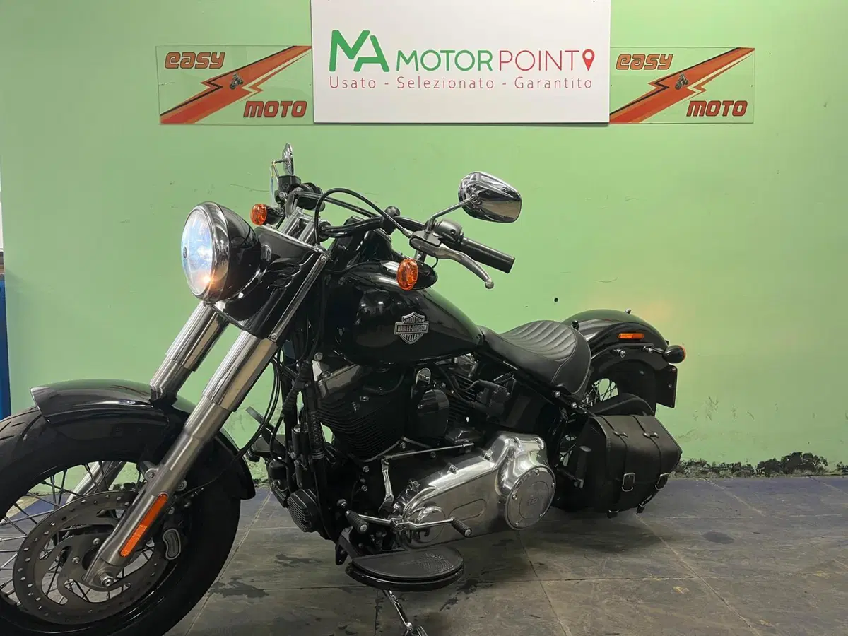 Harley-Davidson 1690 Slim (2017) - FLS (3)