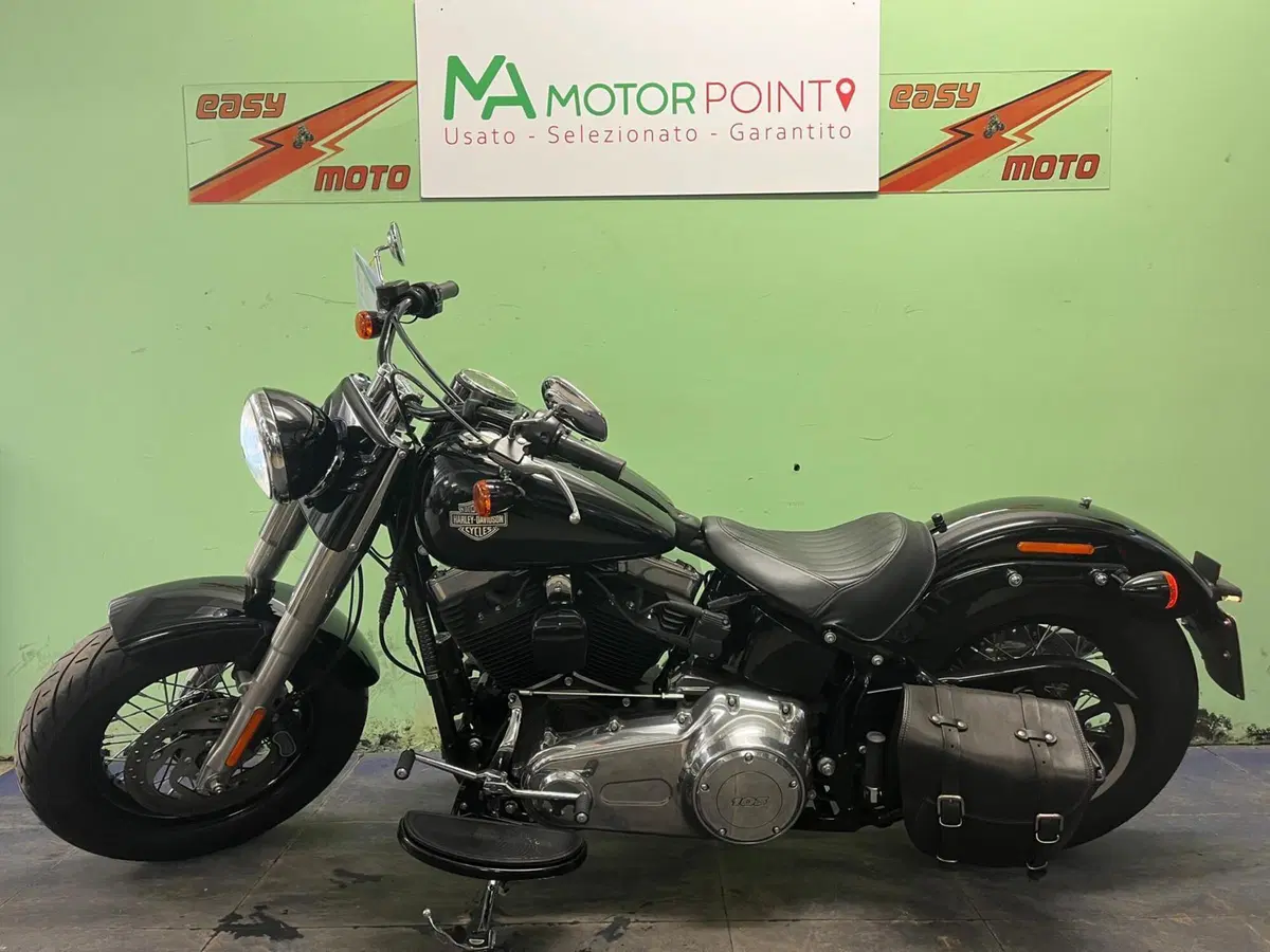 Harley-Davidson 1690 Slim (2017) - FLS (4)