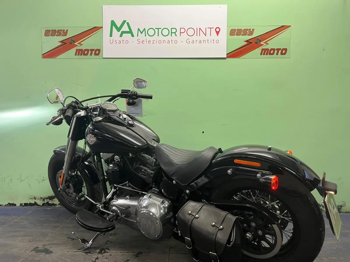 Harley-Davidson 1690 Slim (2017) - FLS (5)