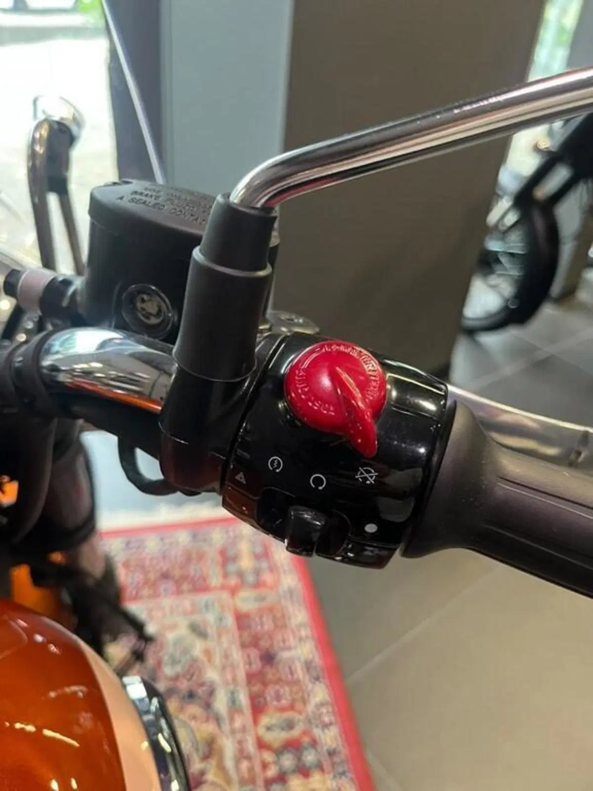 Royal Enfield Meteor 350 Aurora (2024 - 26) (11)