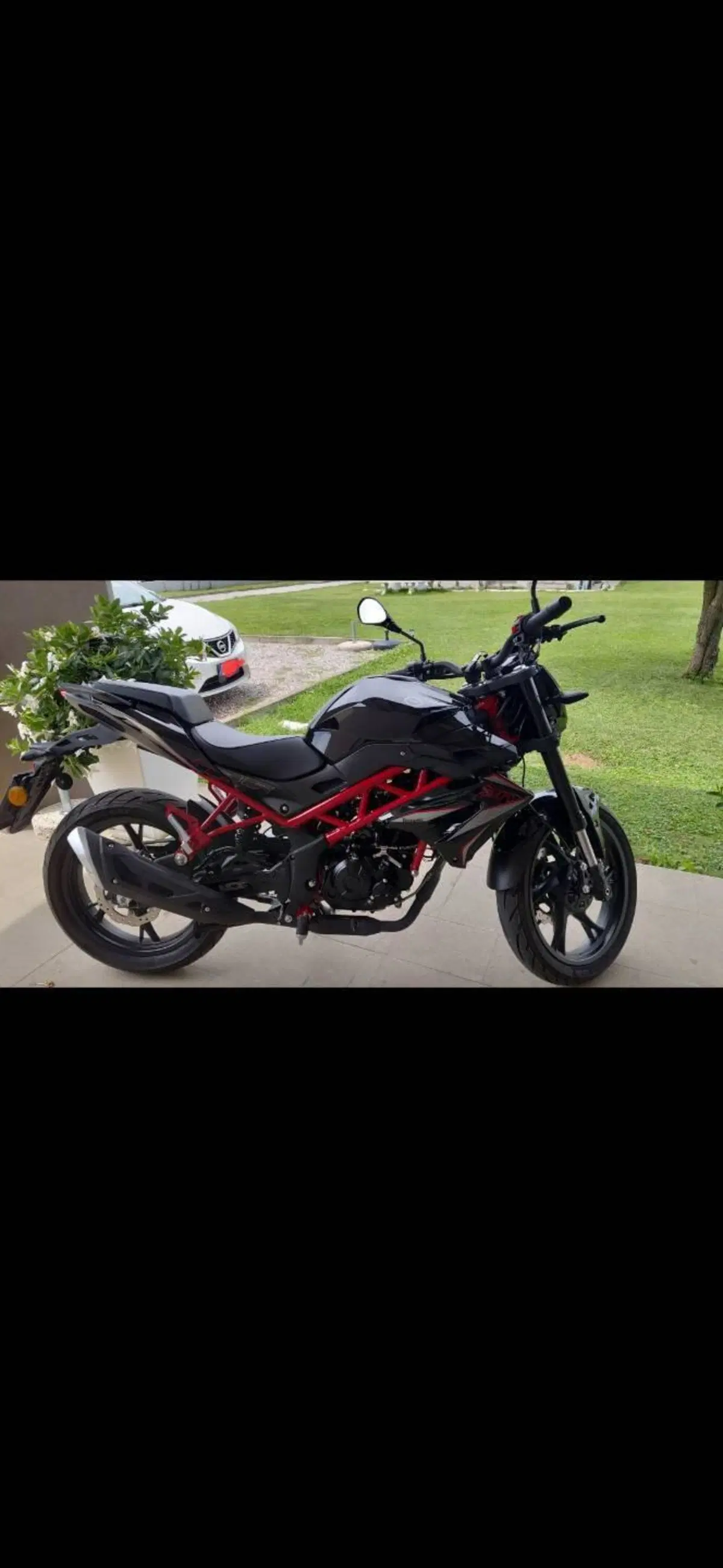 Benelli BN 125 (2021 - 25) (3)