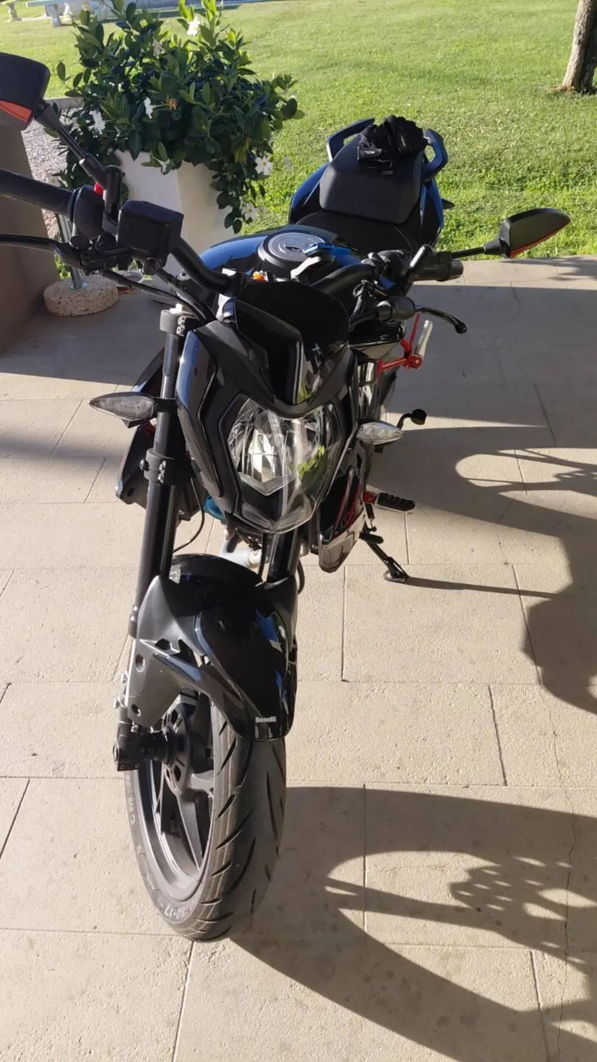 Benelli BN 125 (2021 - 25) (4)