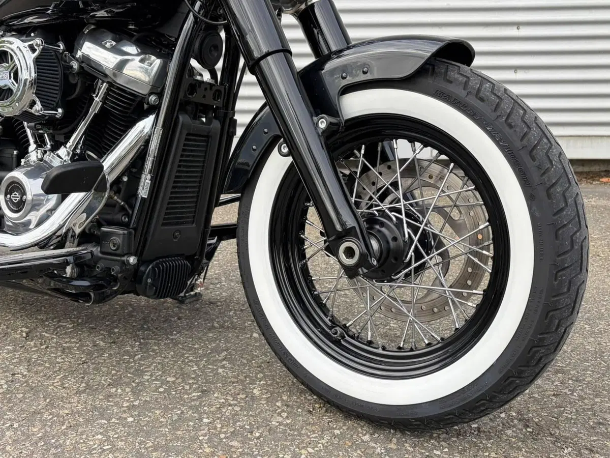 Harley-Davidson 107 Slim (2021) - FLSL (3)