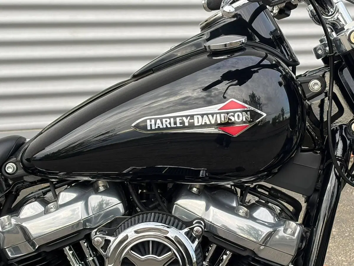 Harley-Davidson 107 Slim (2021) - FLSL (5)