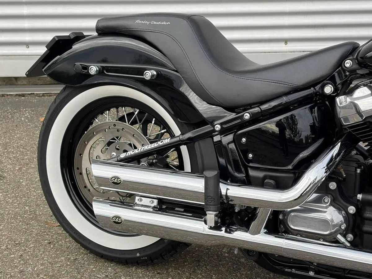 Harley-Davidson 107 Slim (2021) - FLSL (7)