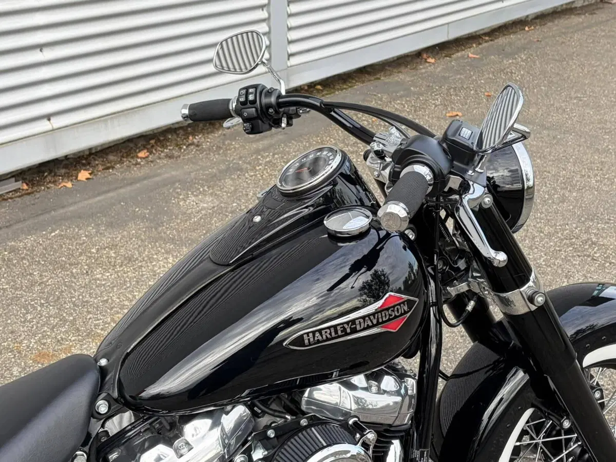 Harley-Davidson 107 Slim (2021) - FLSL (9)