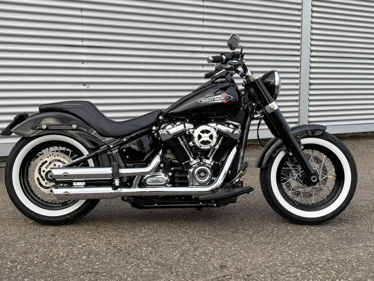 Harley-Davidson 107 Slim (2021) - FLSL (15)