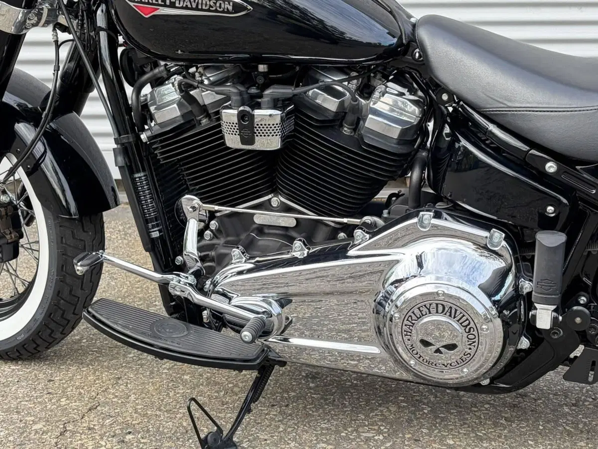 Harley-Davidson 107 Slim (2021) - FLSL (10)