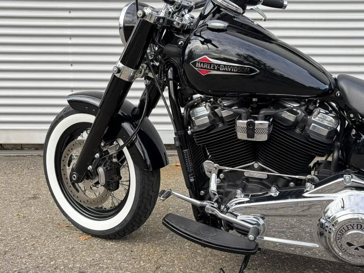 Harley-Davidson 107 Slim (2021) - FLSL (11)