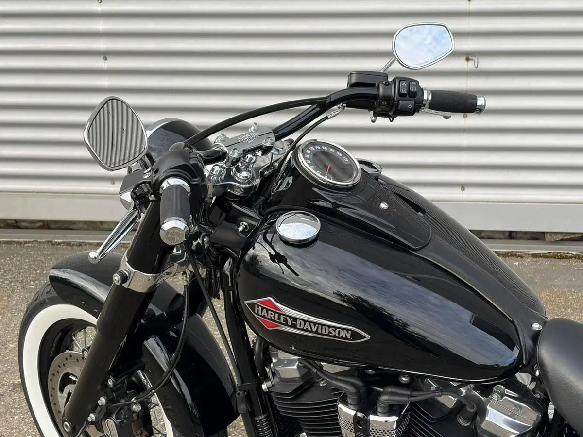 Harley-Davidson 107 Slim (2021) - FLSL (12)