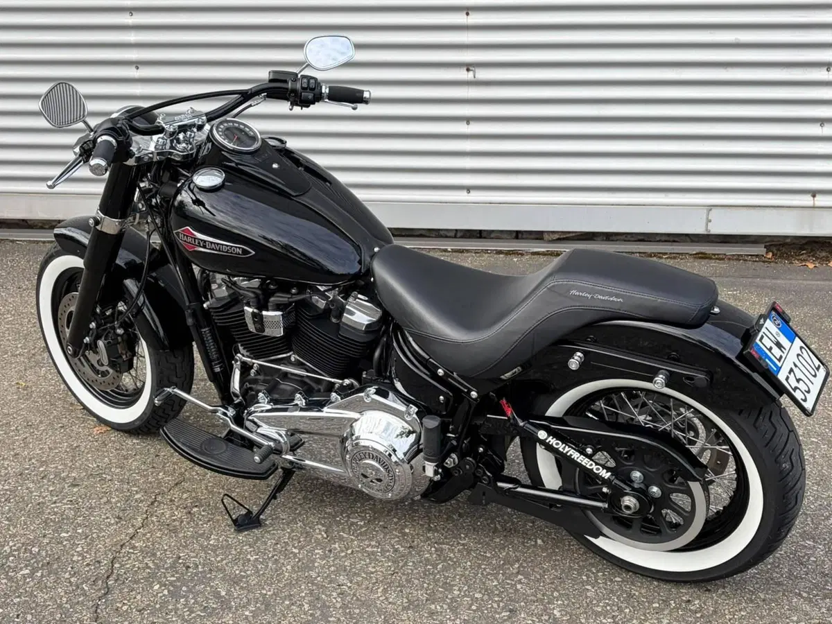 Harley-Davidson 107 Slim (2021) - FLSL (2)