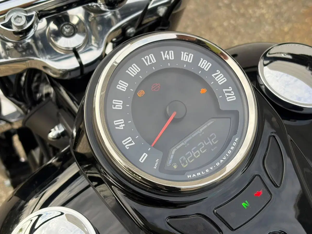 Harley-Davidson 107 Slim (2021) - FLSL (14)
