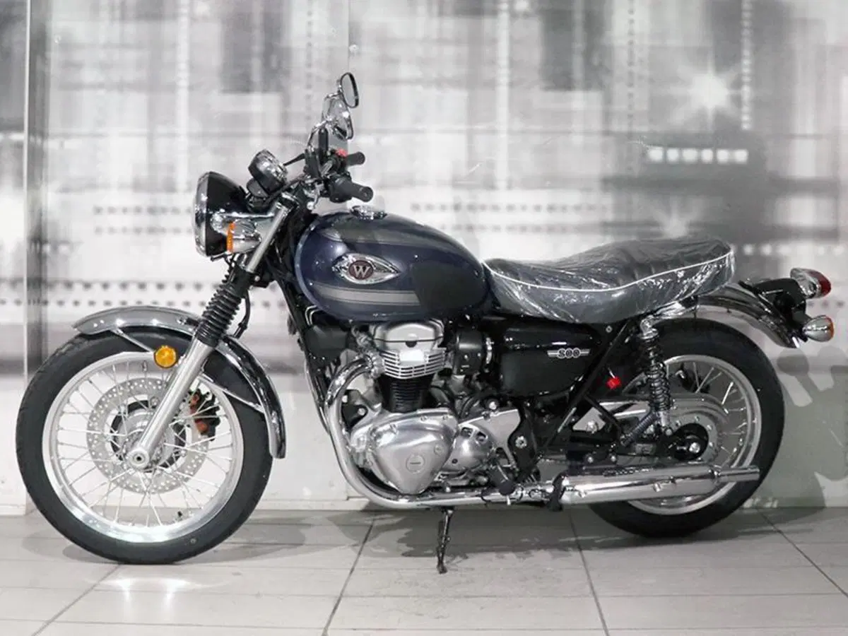 Kawasaki W 800 (2021 - 27) (7)