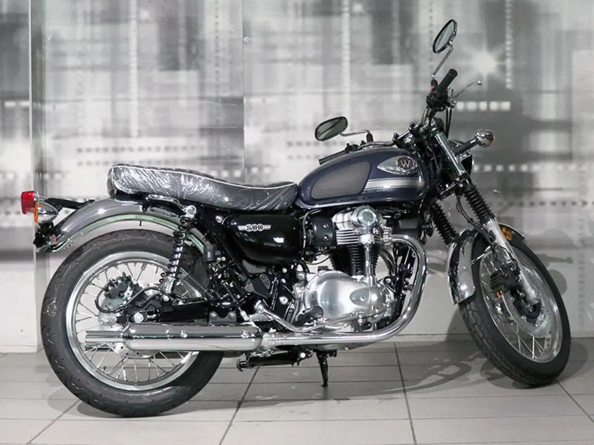 Kawasaki W 800 (2021 - 27) (8)
