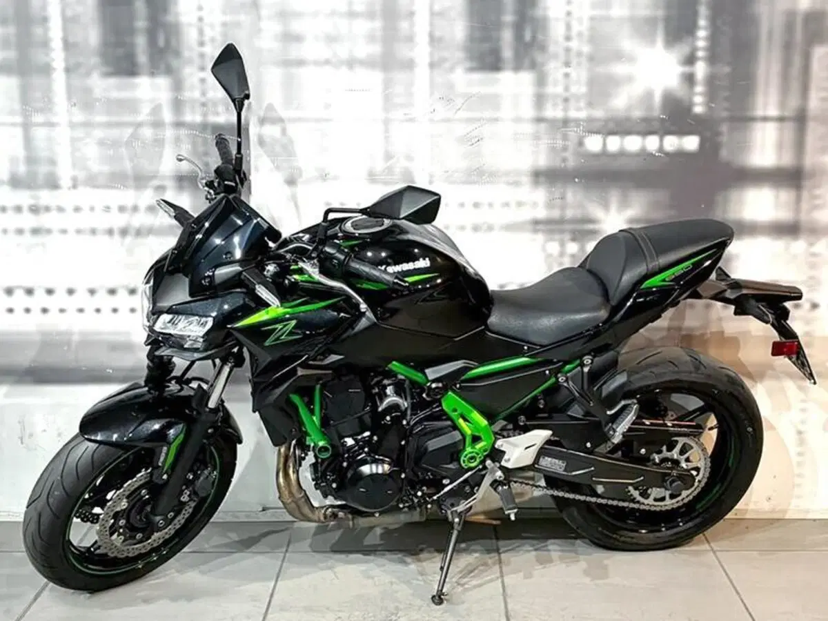 Kawasaki Z 650 (2025 - 27) (2)