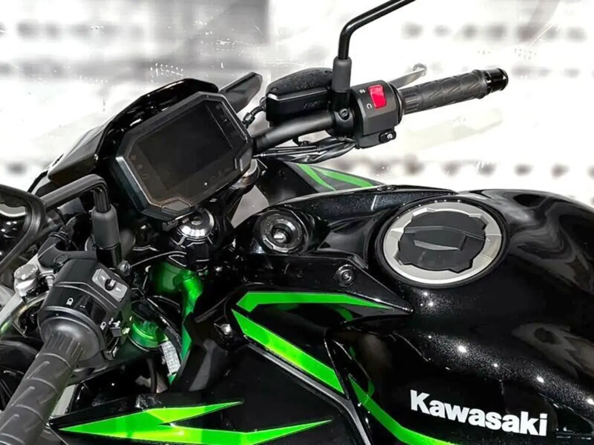 Kawasaki Z 650 (2025 - 27) (4)