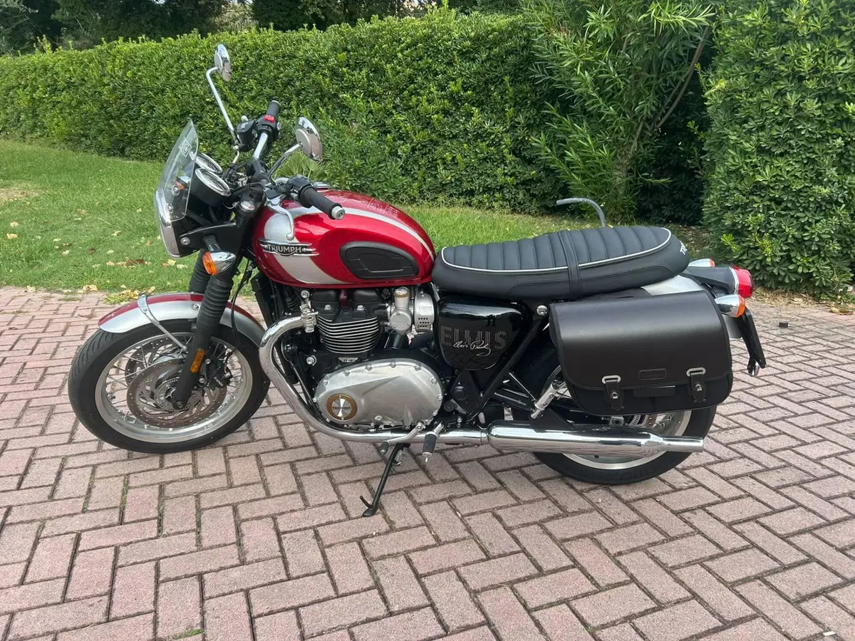Triumph Bonneville T120 Elvis (2024 - 26) (2)
