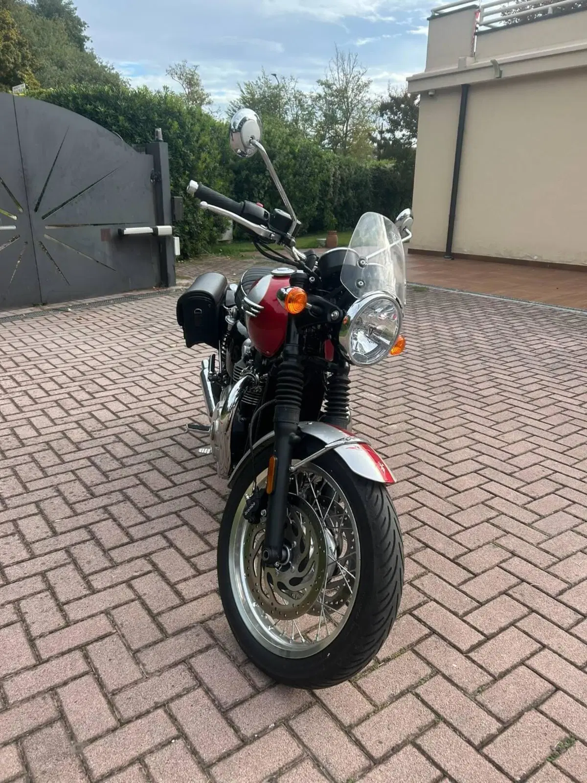 Triumph Bonneville T120 Elvis (2024 - 26) (5)