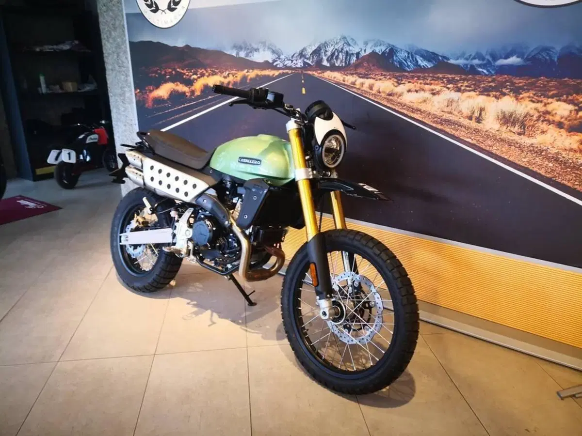 Fantic Motor Caballero 500 Rally (2025 - 26) (4)