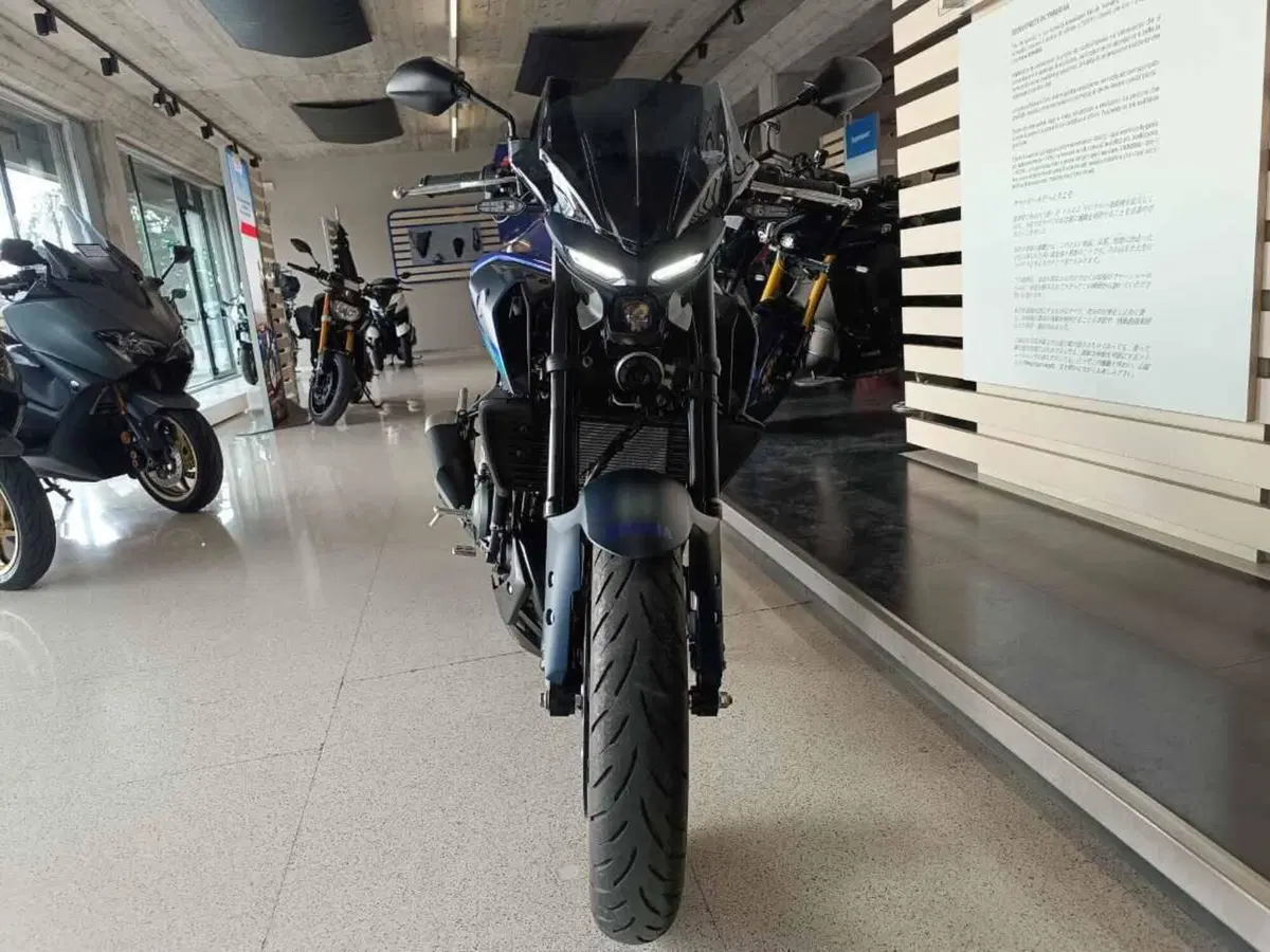 Yamaha MT-03 (2022 - 24) (2)