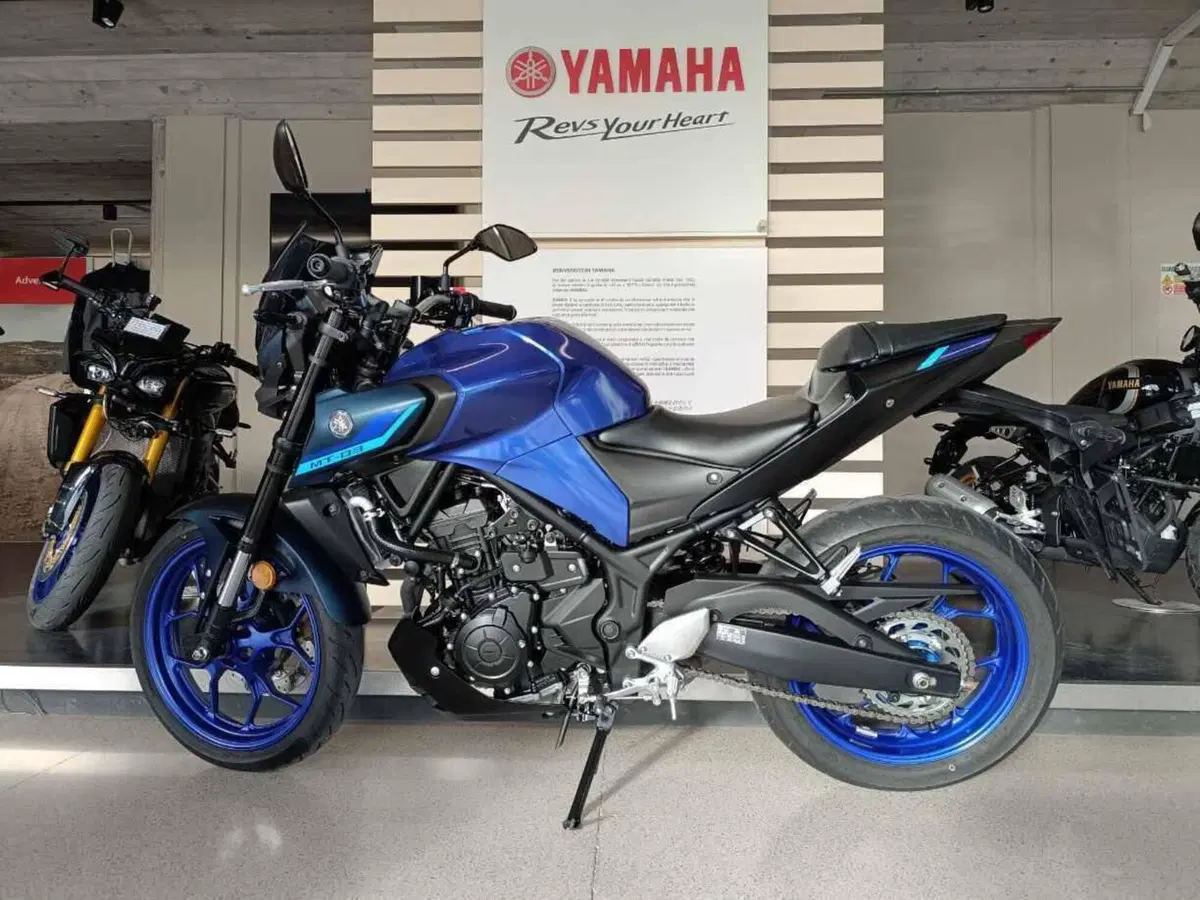 Yamaha MT-03 (2022 - 24) (5)