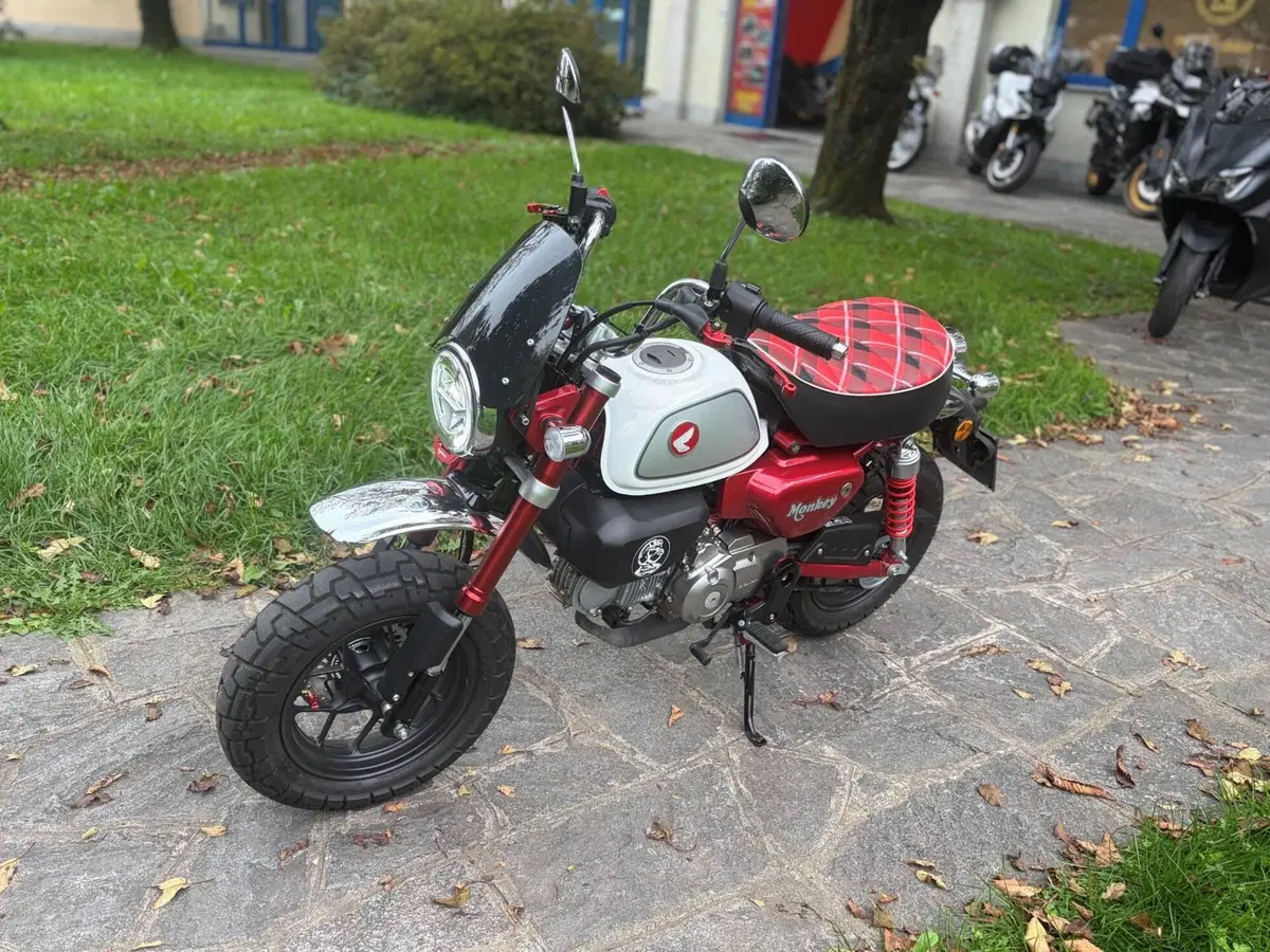 Honda Monkey 125 (2022 - 24) (2)