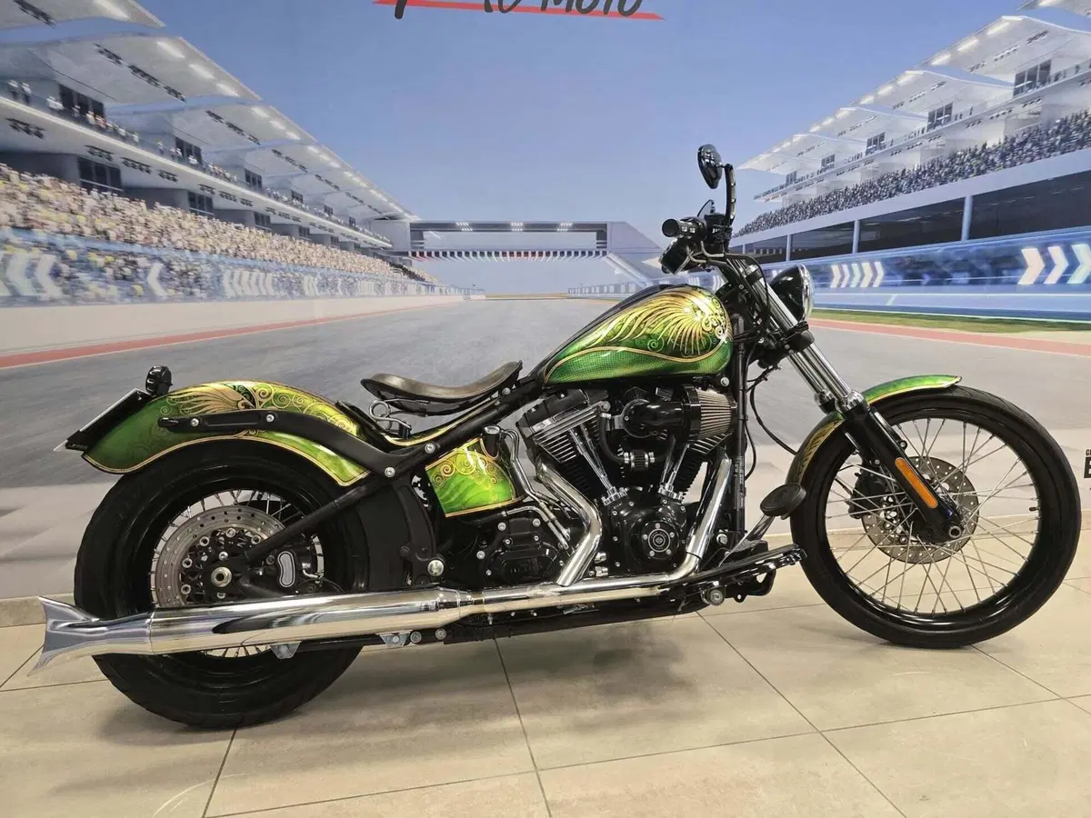 Harley-Davidson 1584 Blackline (2011 - 13) - FXS (11)